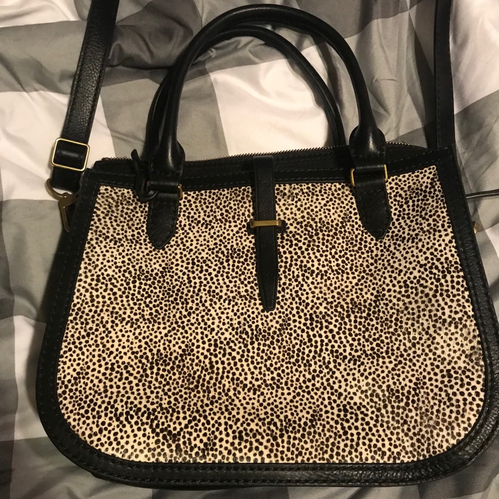 Fossil Satchel